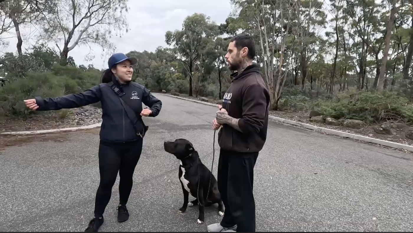 Diona coaching an owner and his dog in a real session