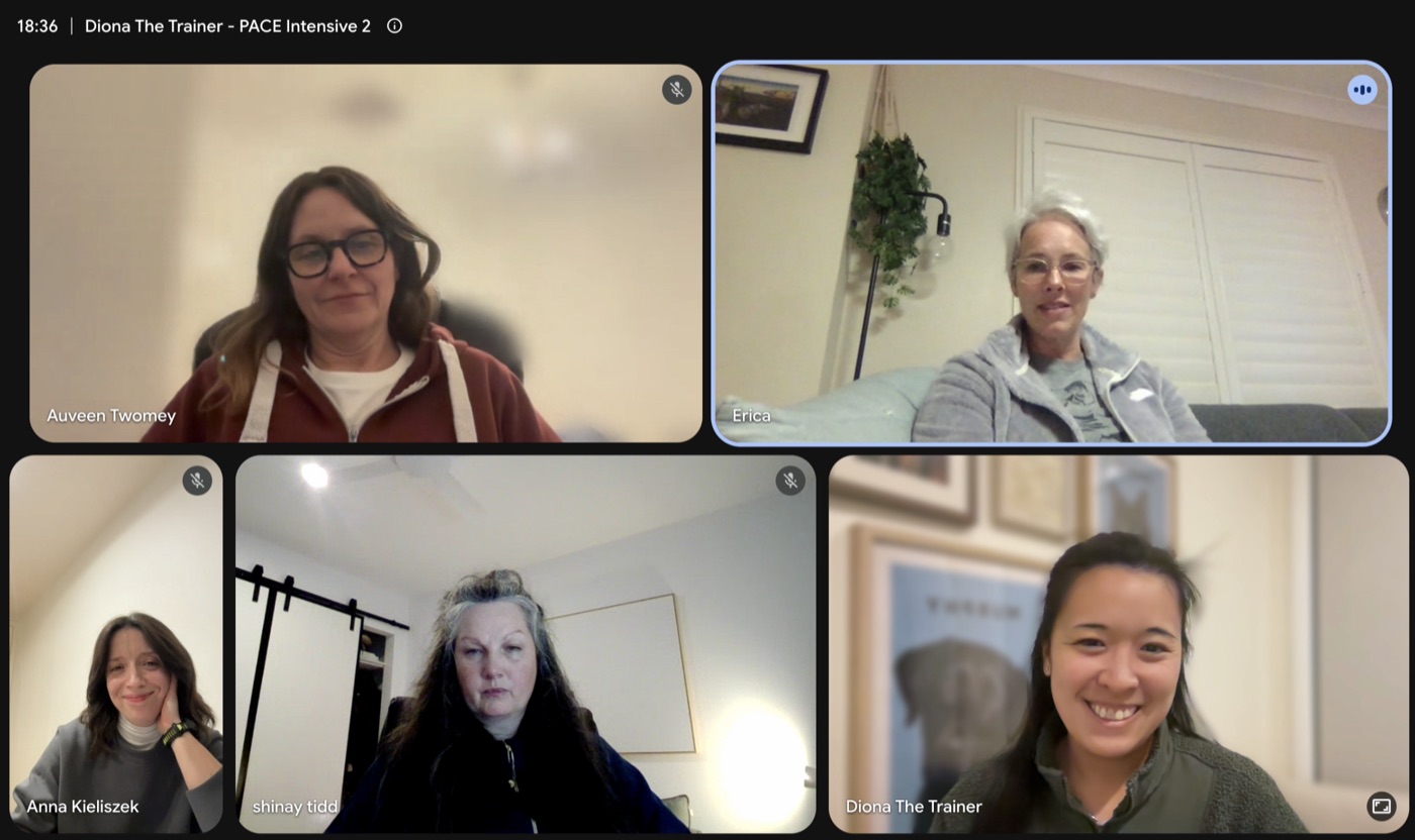 A PACE Intensive theory session in progress: Diona and the cohort of trainers on a video call