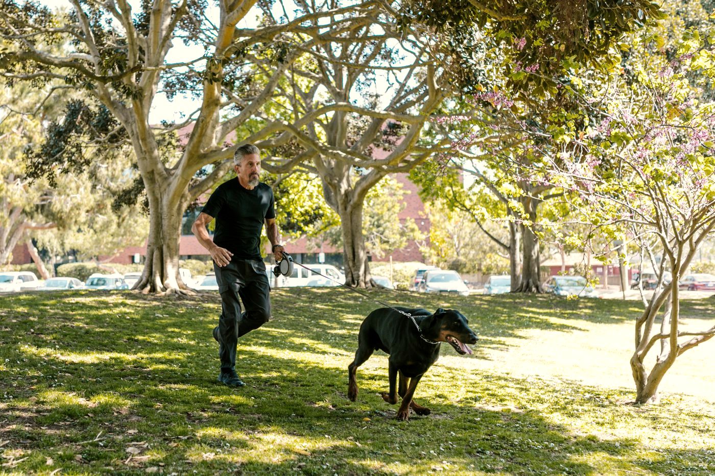 A dog mid-game with its owner in a park, fully engaged