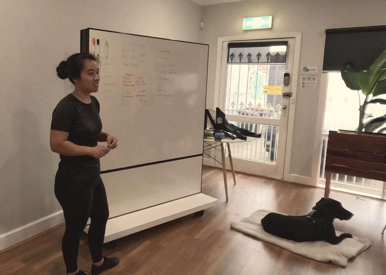 Diona teaching at a whiteboard with a black Labrador settled on a mat in CALM