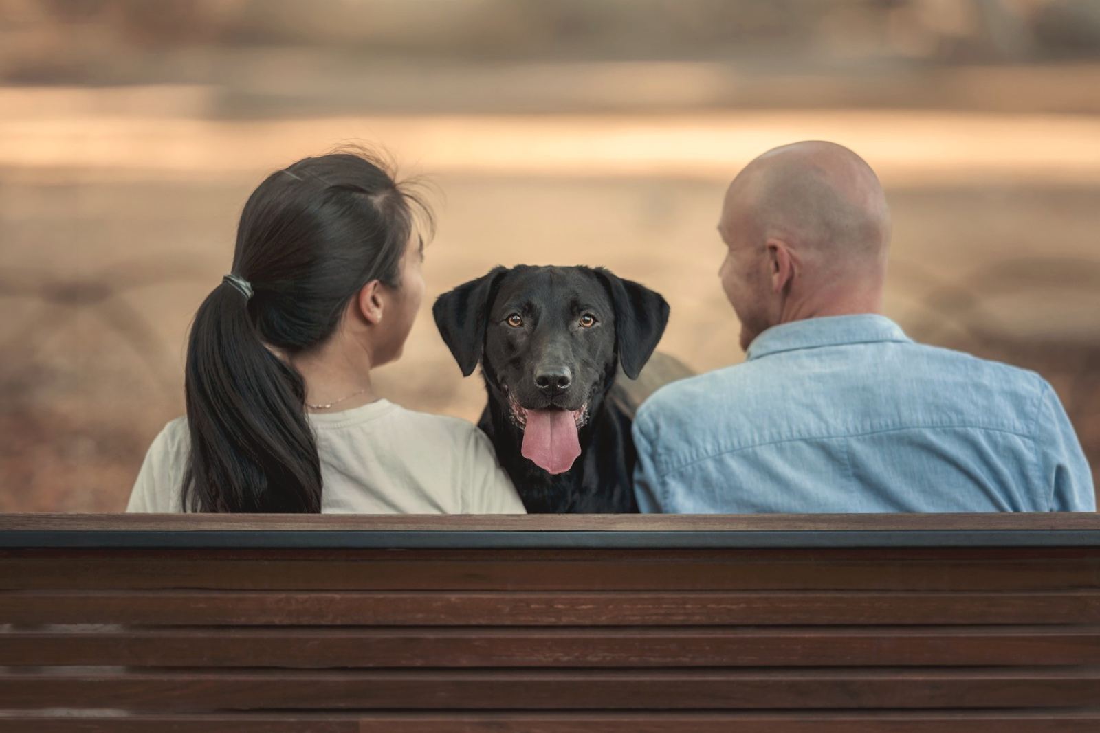 A black Labrador sitting calmly between two owners on a park bench, looking at the camera